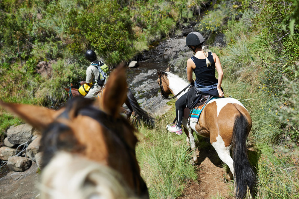 horse trail riders