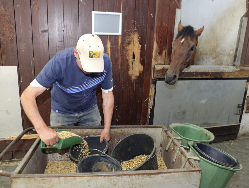 A man scoops concentrated feed into buckets while a horse watches from its stall.