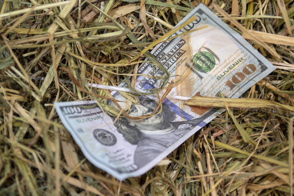 A $100 bill on hay. Forage-first diets can help save money on feed. 