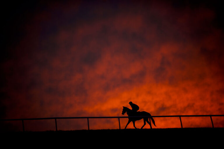 sunrise red clouds racehorse silhouette