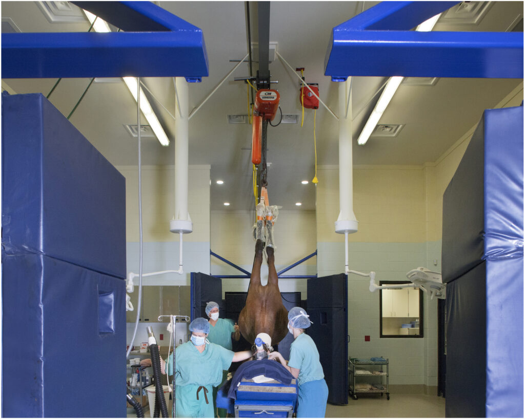 Cross-lighting in a surgical space. The right light for your equine hospital will improve your surgical and exam spaces. 