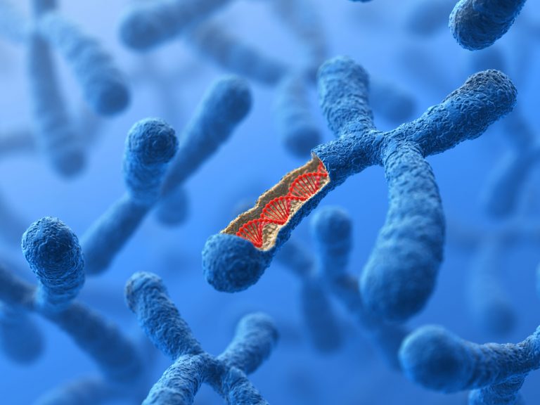 Chromosome