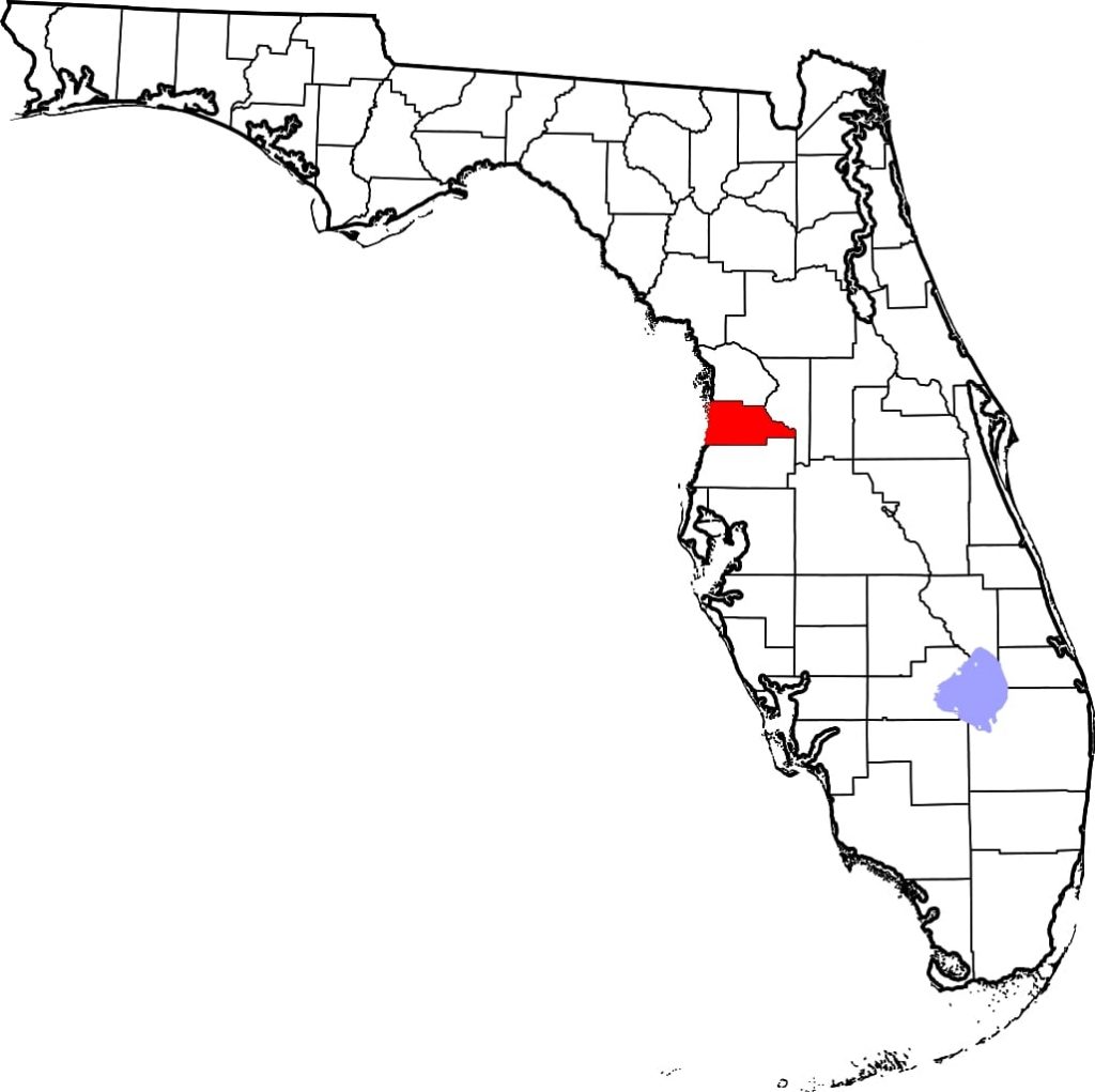 A 26-year-old, unvaccinated Quarter Horse gelding in Hernando County, Florida, has tested positive for West Nile virus. 