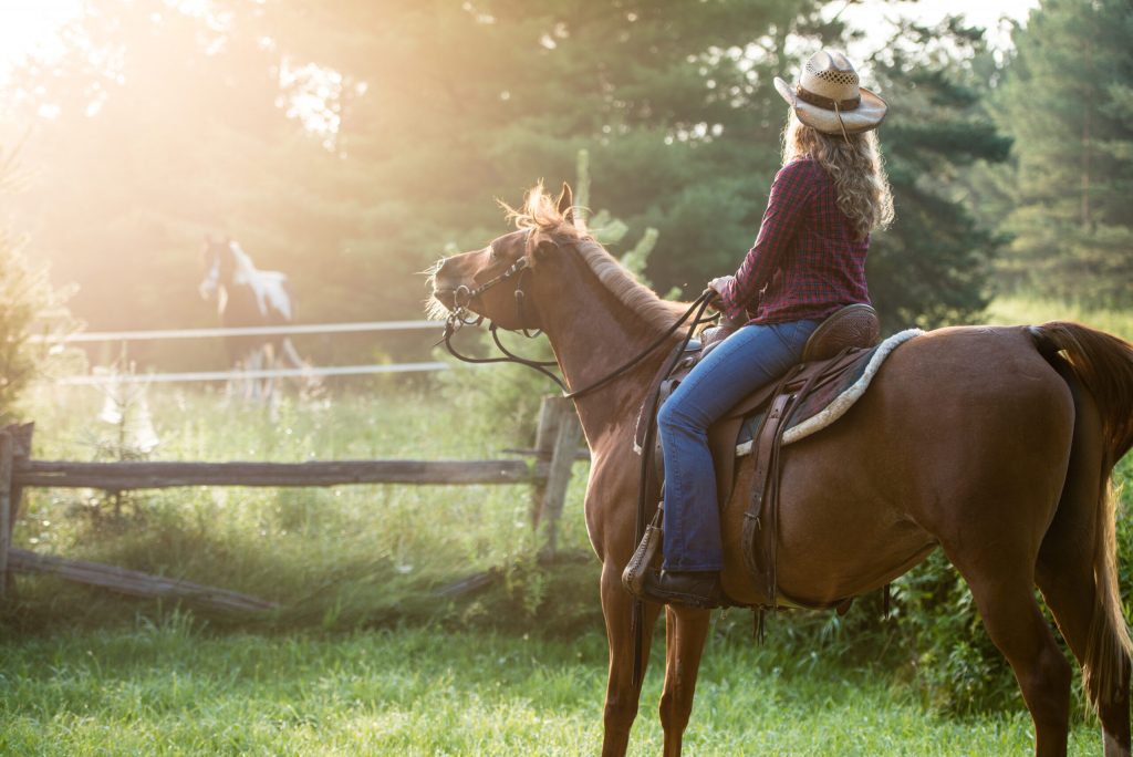 A horse undersaddle demonstrating idiopathic headshaking