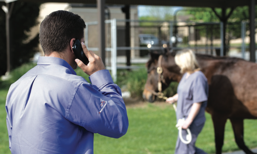 Vet talks on the phone while assistant leads horse