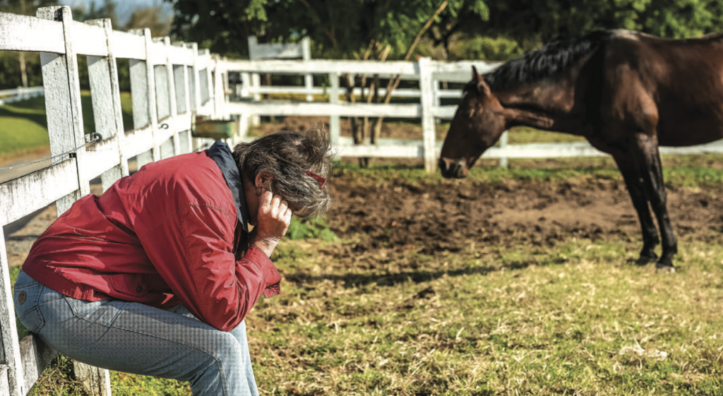 women sits on fence with horse in background. Hiring employees can help equine vets with burnout