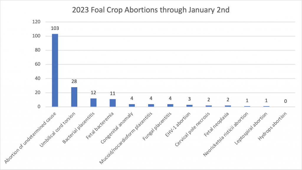 Causes of equine abortion from the 2023 foal crop.