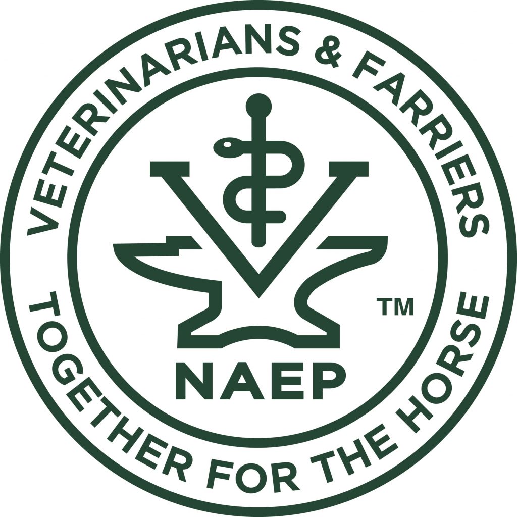 NAEP logo