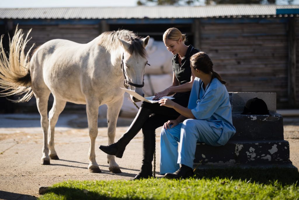 Older veterinarian mentoring new veterinary graduate. 