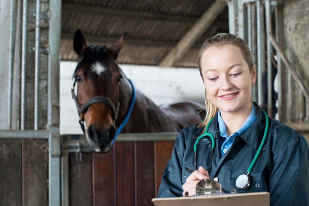 Equine veterinarian taking notes for medical recordkeeping purposes. 