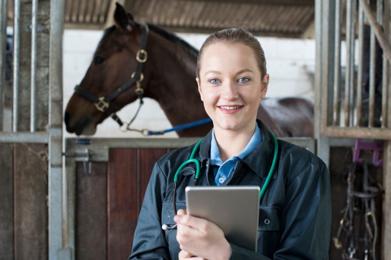 Portrait Of Female Vet With Digital Tablet Examining Horse In Stable