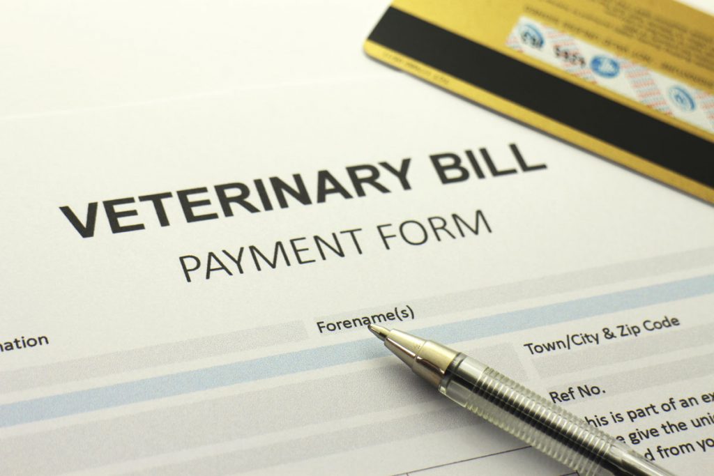 veterinary bill payment form