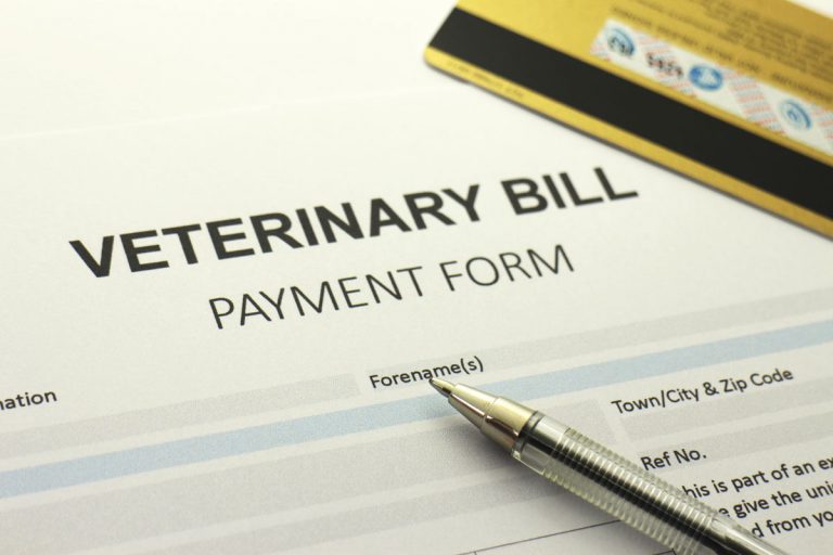 veterinary bill payment form