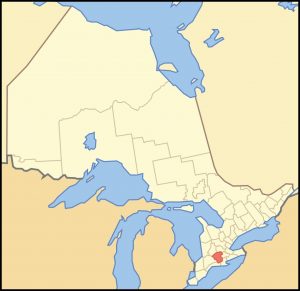 A horse at a boarding facility in Oxford County, Ontario, was confirmed positive for EHV-1 and has been euthanized. 