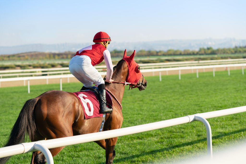 Racehorse returns to racing after PET scan