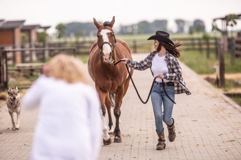 Woman shows the trot of the horse to a veterinary specialist during a consultation on a ranch