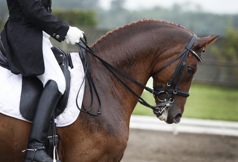 Riding in the rain