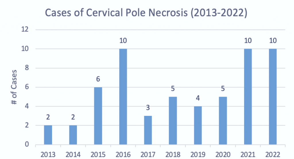 Figure 1. Cases of cervical pole necrosis diagnosed by the UKVDL by year (2013- 2022).