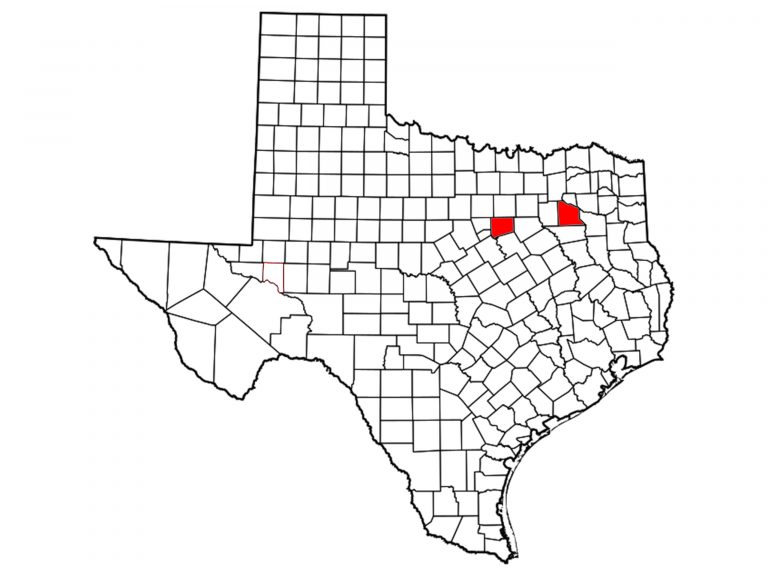 TX_vanzandt_johnson
