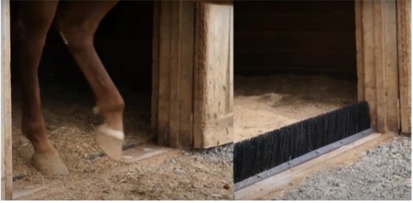 the bedding blocker in front of a horse's stall