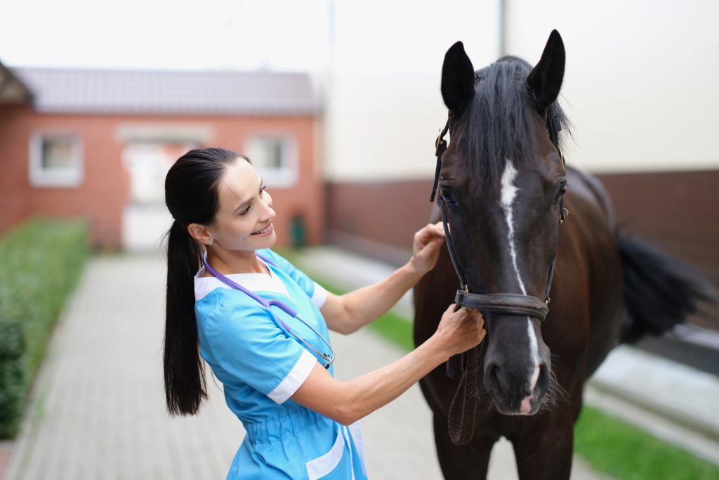 A female veterinarian in scrubs stands next to a black horse.