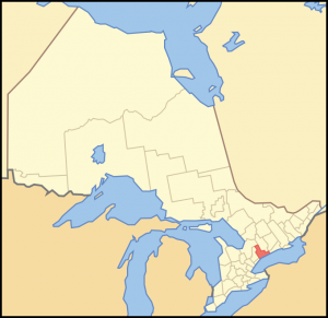 A horse in the Regional Municipality of Durham, Ontario, was confirmed positive for equine influenza and is recovering.