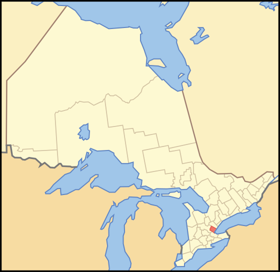 A Thoroughbred mare in the Regional Municipality of Halton, Ontario, is positive for strangles and under voluntary quarantine. 