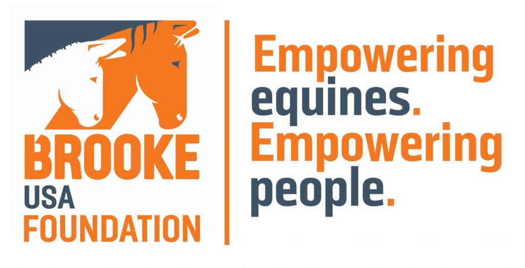 Brooke USA Foundation logo