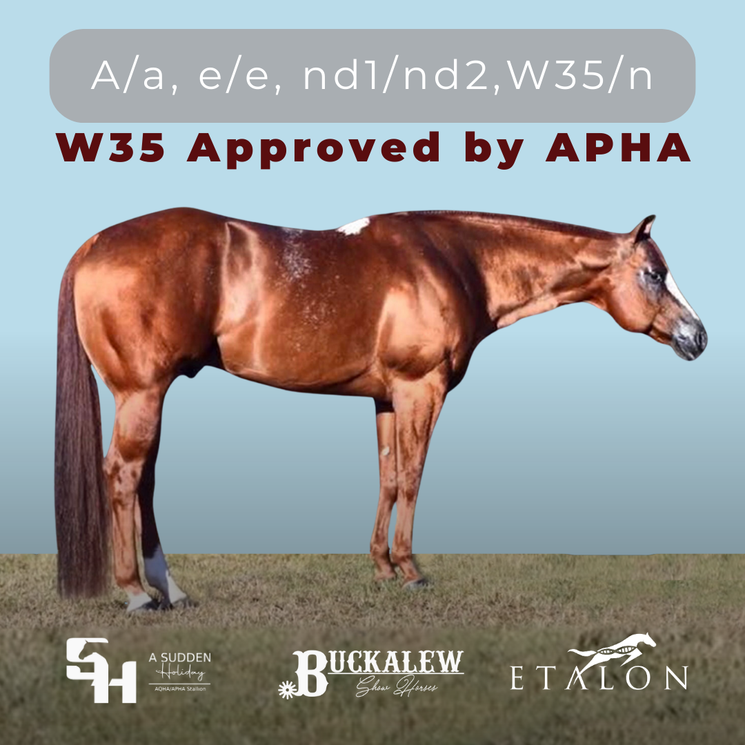 APHA Approves New W35 “Holiday” Variant - EquiManagement