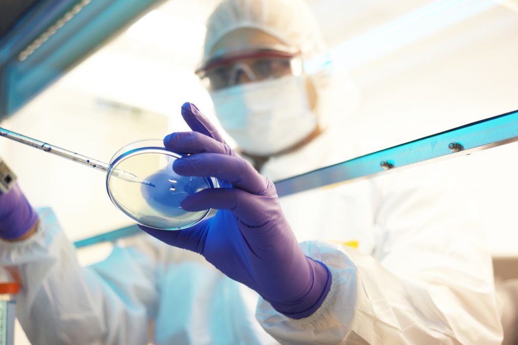scientist looks at new antibiotic source in Petri dish