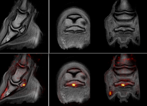 Jool-PET-MRI