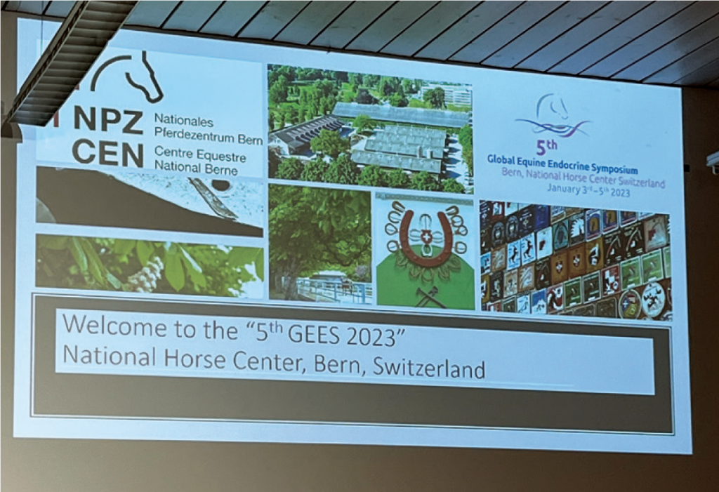GEES presentation 