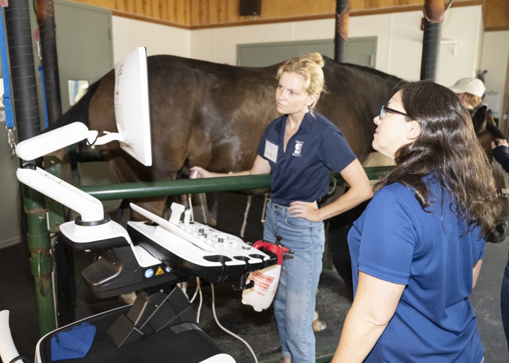 Vet students at Cavalcade's Future Equine Practitioners Weekend