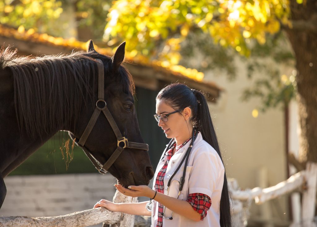 Young veterinary student with black horse. The AAEP Commission Student Subcommittee surveyed vet students recently. 