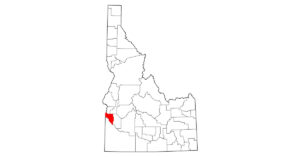 An unvaccinated Appaloosa mare in Canyon County, Idaho, is positive for West Nile virus (WNV) and is recovering. 