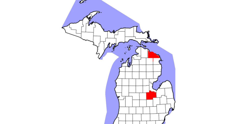 Michigan2Counties
