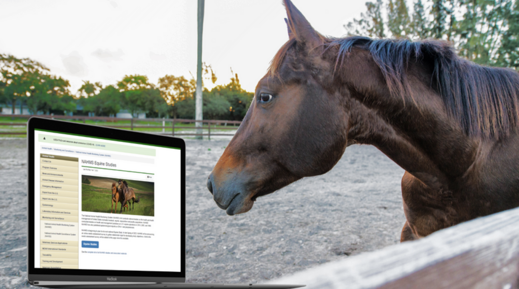 Horse looking at computer screen displaying NAHMS survey. 