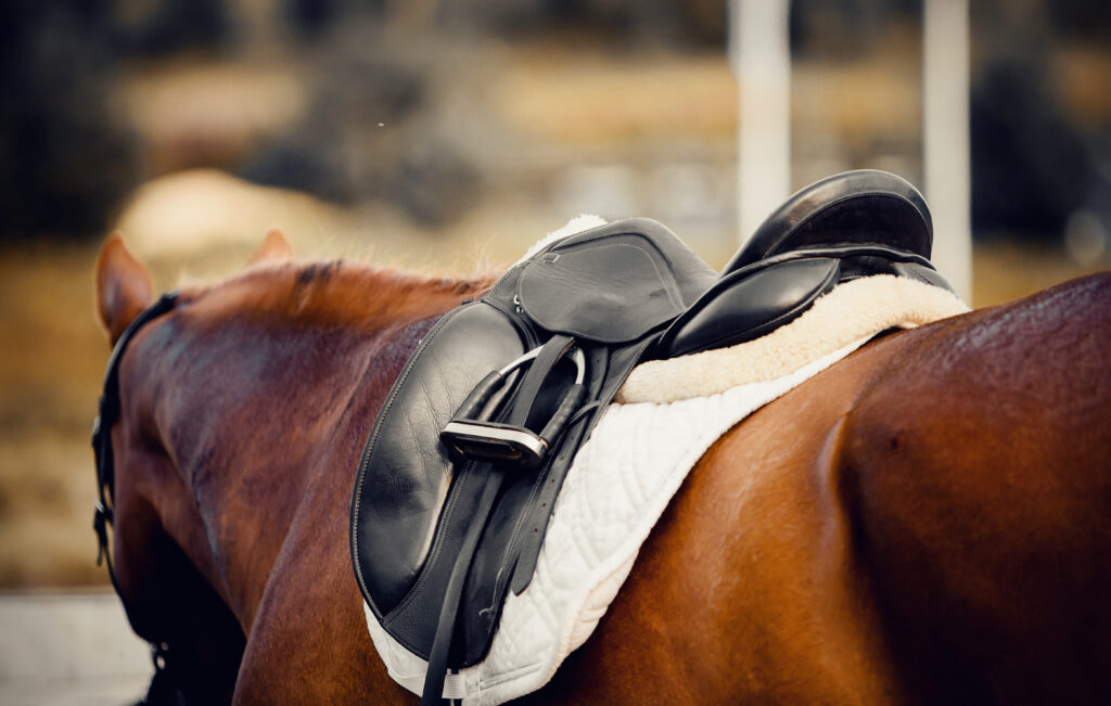 A horse wearing a saddle with a sheepskin pad underneath. 