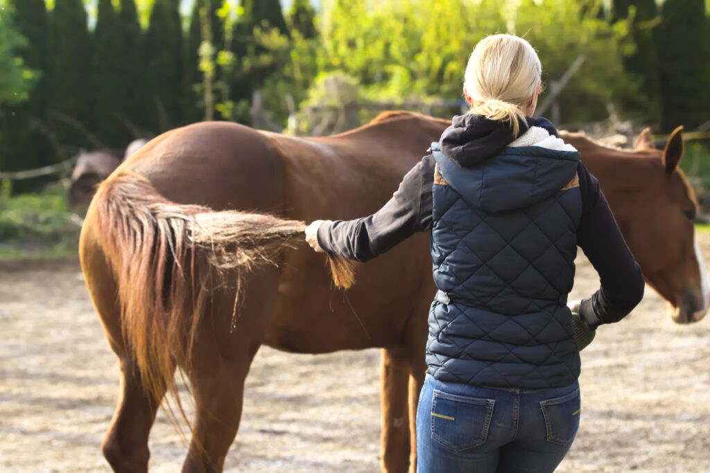 A woman performs a tail pull on a horse. 