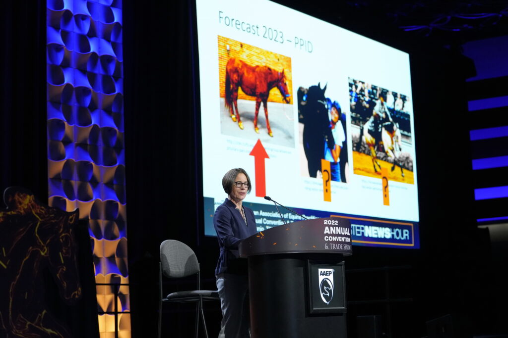 Kester News Hour presentation at 2022 AAEP Convention. 