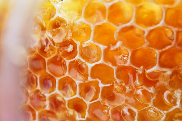 Honey