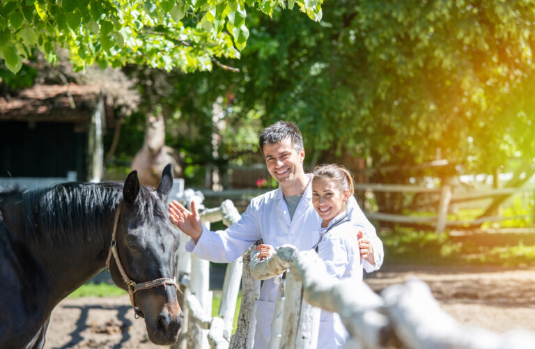 Male and female doctors standing near black horse on ranch