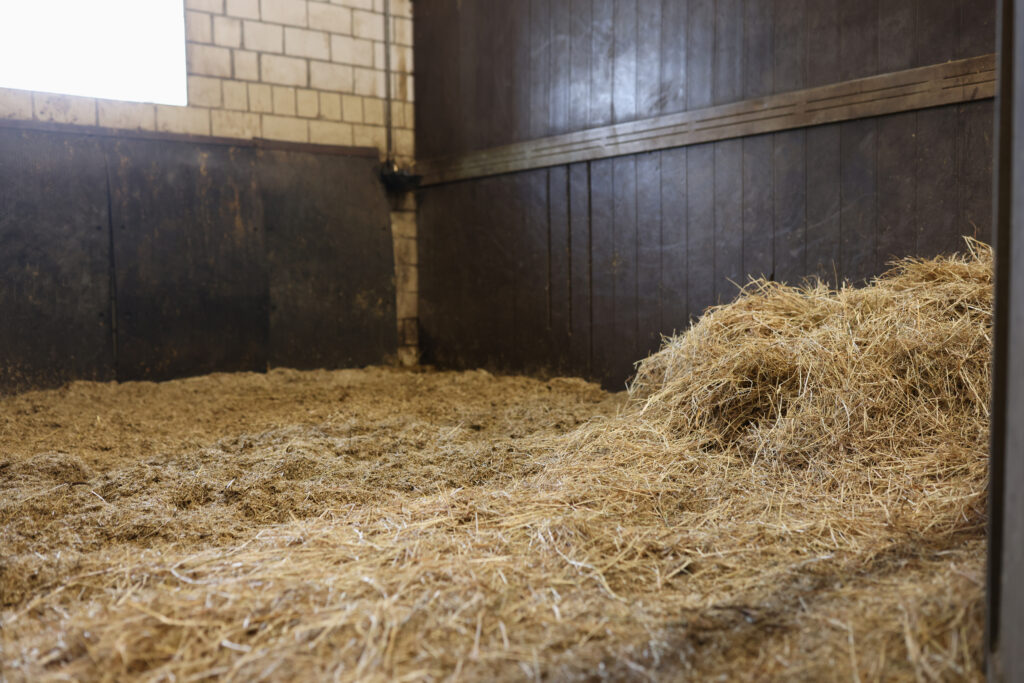 A horse stall with bedding in it. 
