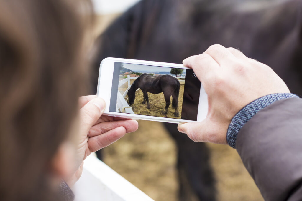 Equine telemedicine appointment
