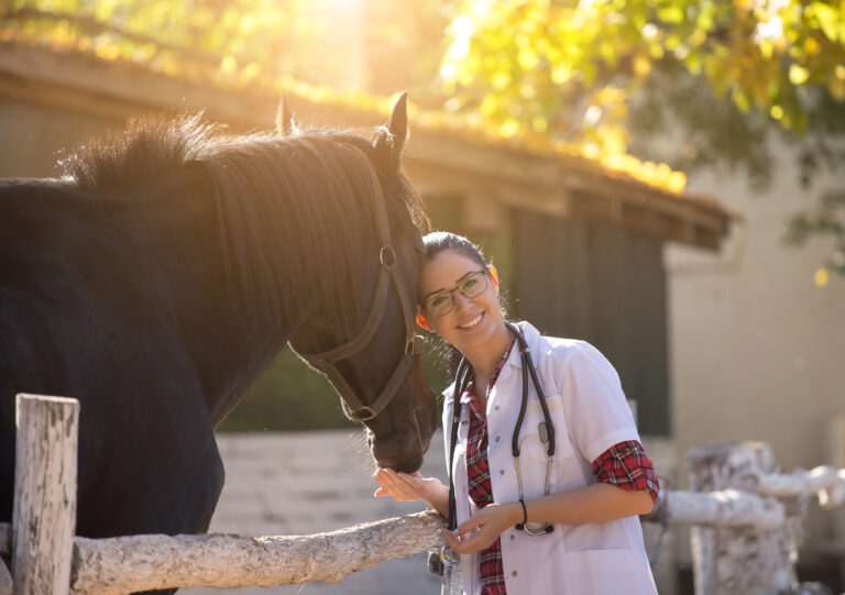 Veterinarian with horse