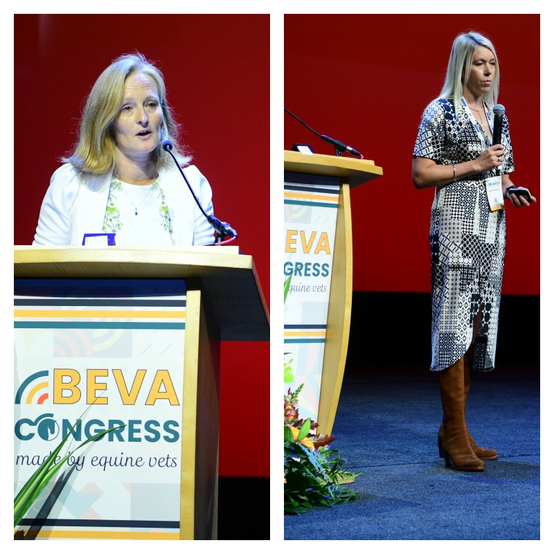 Drs. Gemma Pearson and Sarah Freeman presenting on equine behavior at BEVA Congress.