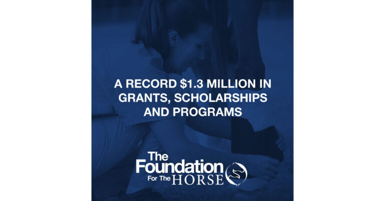 Foundation for Horse 1