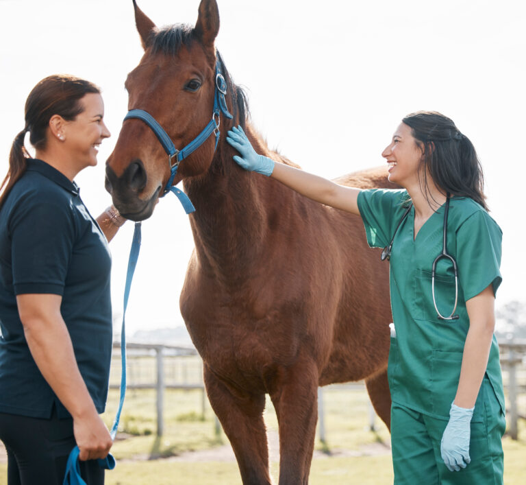 Shot of an attractive young veterinarian standing with a horse and its owner on a farm
