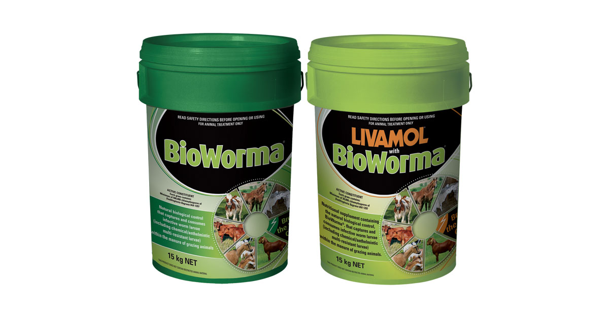 BioWorma