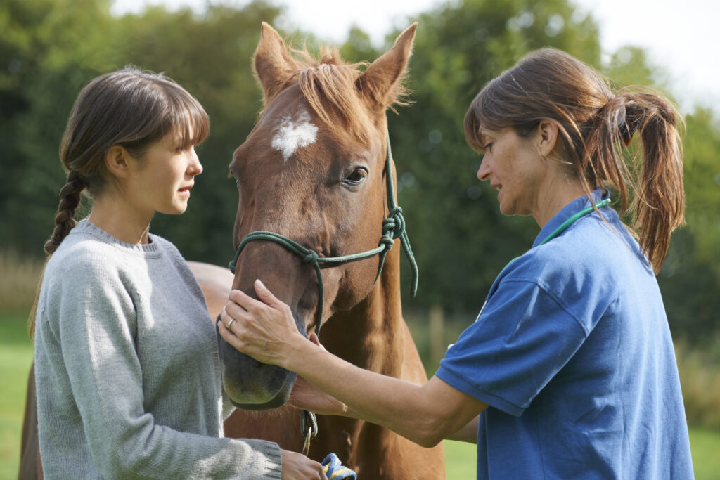 Equine veterinarian communicating with a client, responding to a client complaint